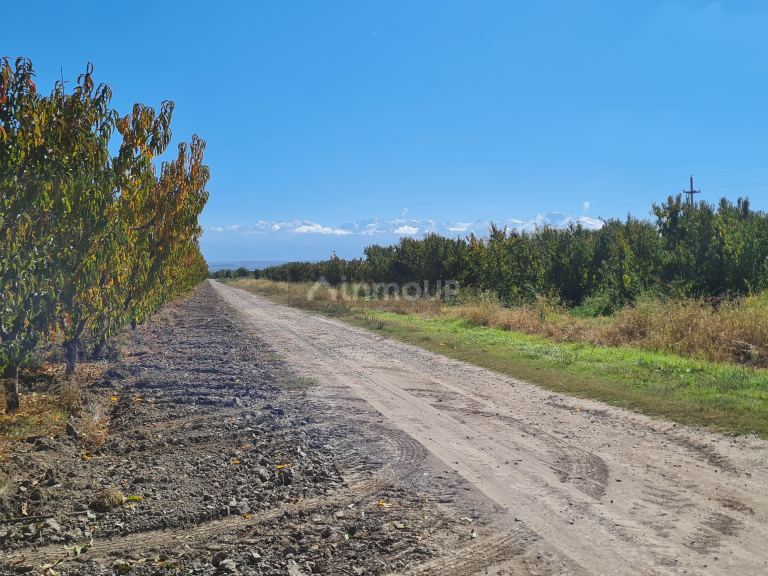 Finca en Venta en Tupungato, Mendoza
