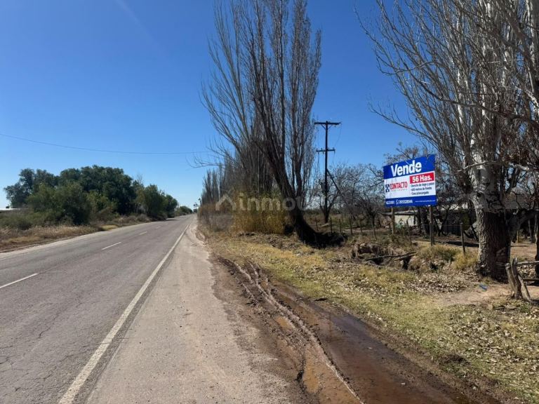 Finca en Venta en Junin, Mendoza
