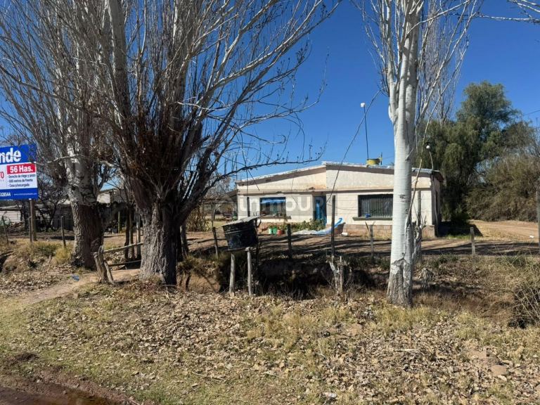 Finca en Venta en Junin, Mendoza