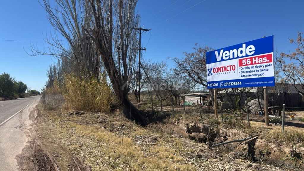 Finca en Venta en Junin, Mendoza