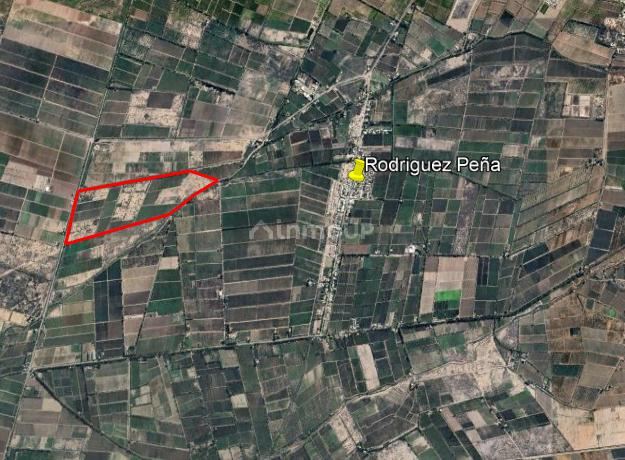 Finca en Venta en Junin, Mendoza