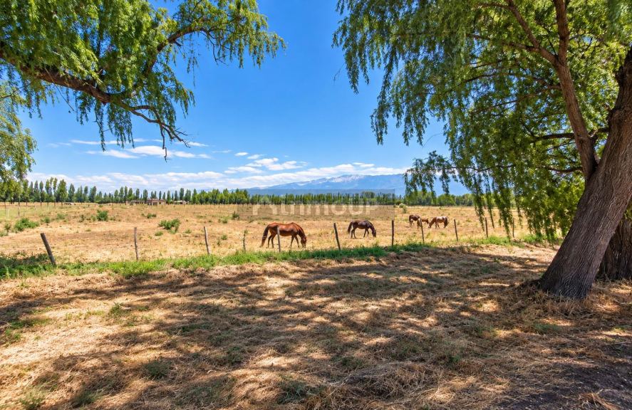 Lote en Venta en Tunuyan, Mendoza