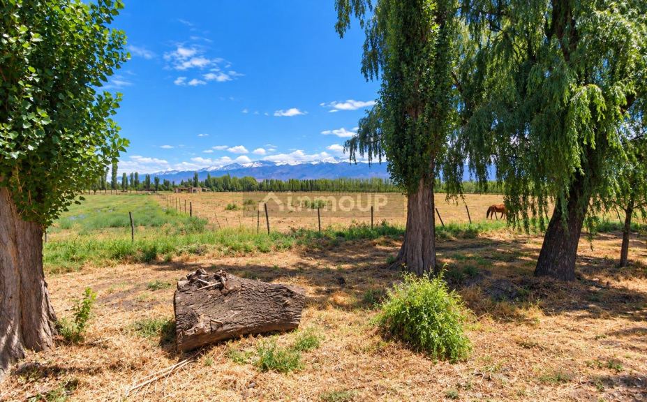 Lote en Venta en Tunuyan, Mendoza