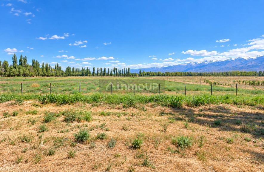 Finca en Venta en Tunuyan, Mendoza - USD 110.000 | Inmoup - 6