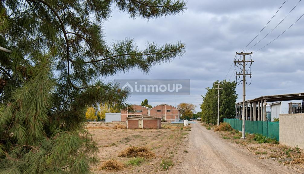 Bodega en Venta en Maipu, Mendoza