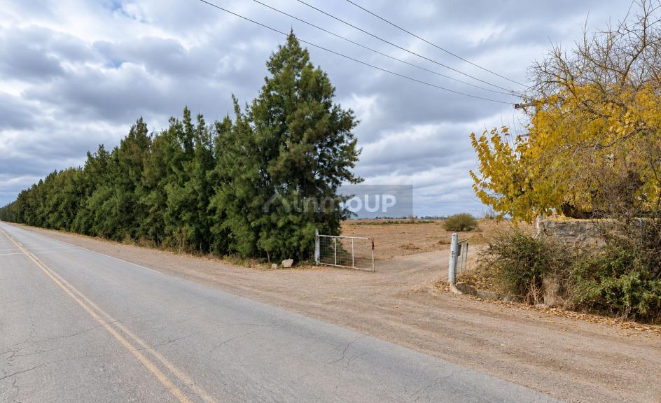 Bodega en Venta en Maipu, Mendoza