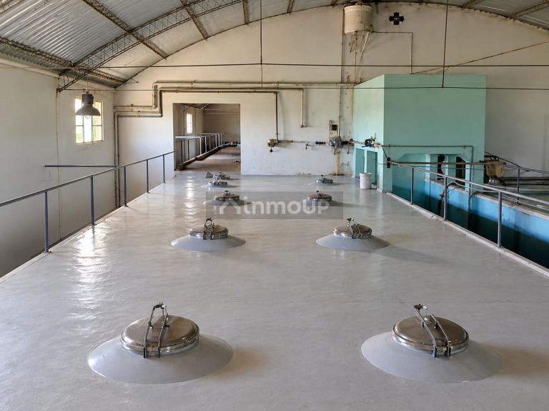 Bodega en Venta en Maipu, Mendoza
