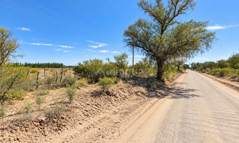 Finca en Venta en La Paz, Mendoza