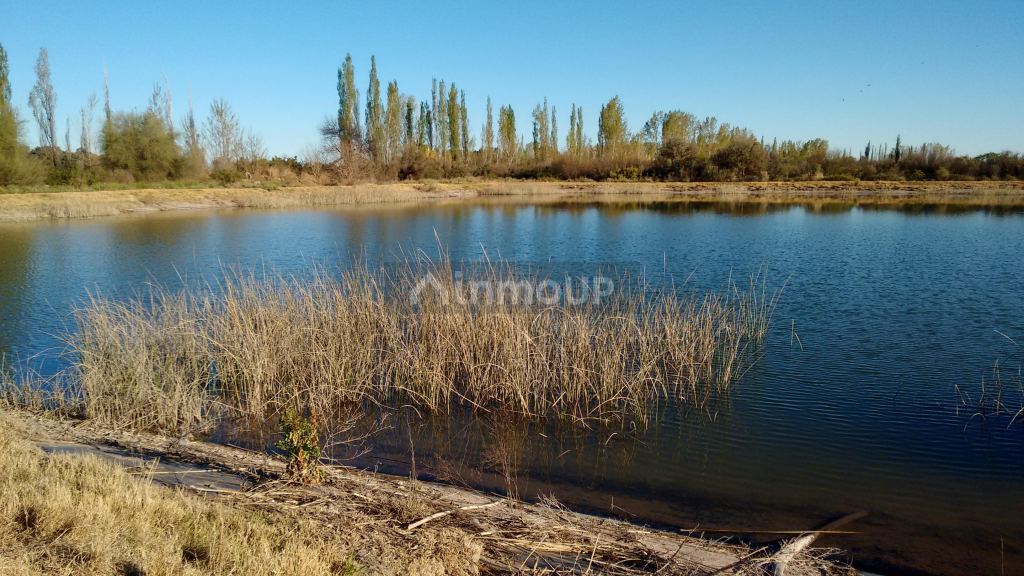 Finca en Venta en La Paz, Mendoza