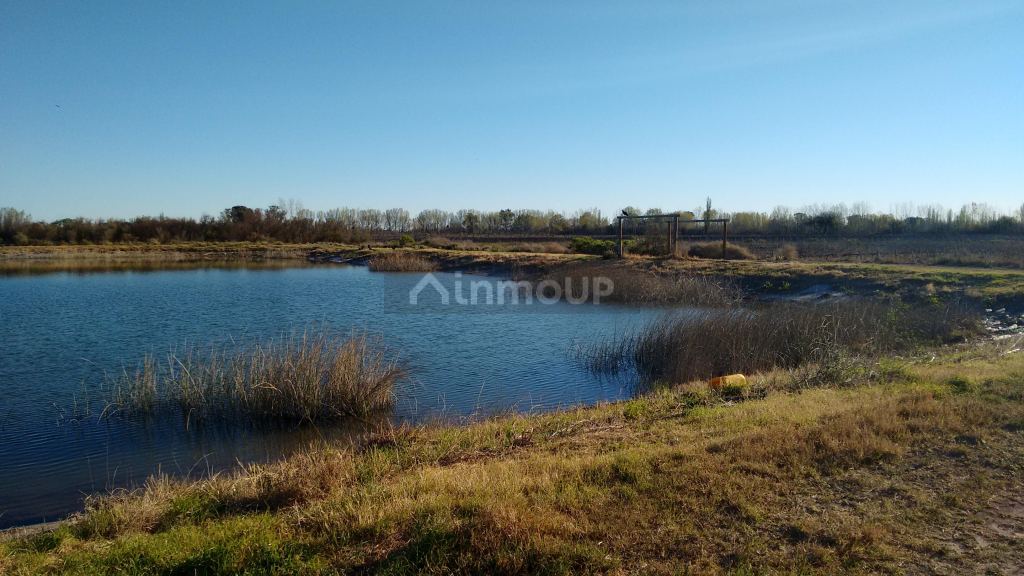 Finca en Venta en La Paz, Mendoza