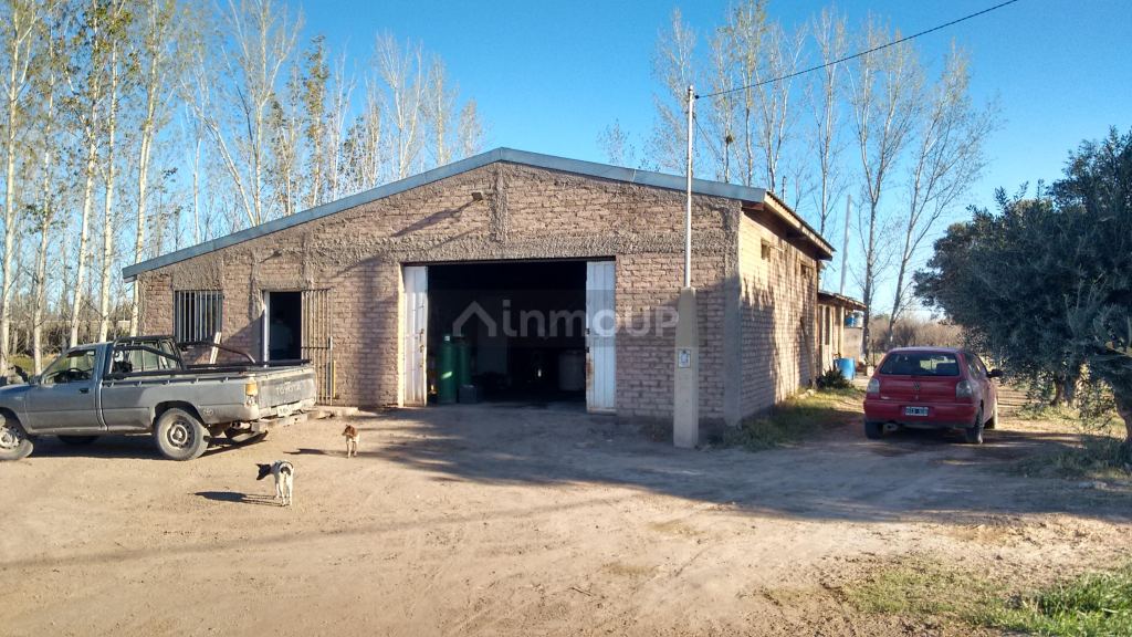 Finca en Venta en La Paz, Mendoza