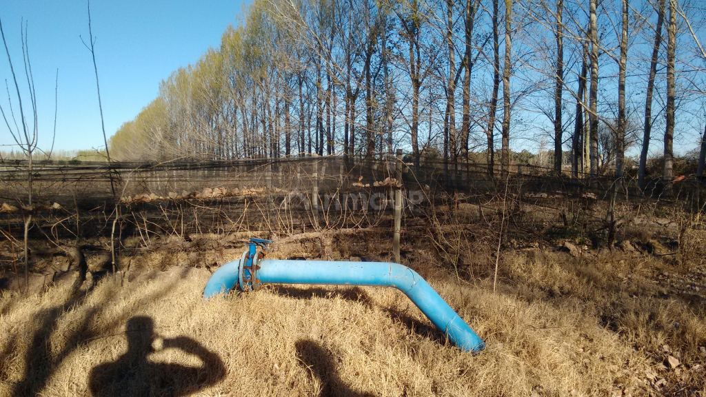 Finca en Venta en La Paz, Mendoza