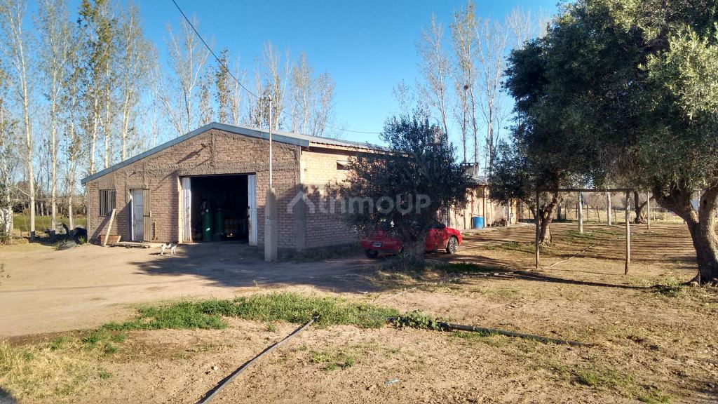 Finca en Venta en La Paz, Mendoza