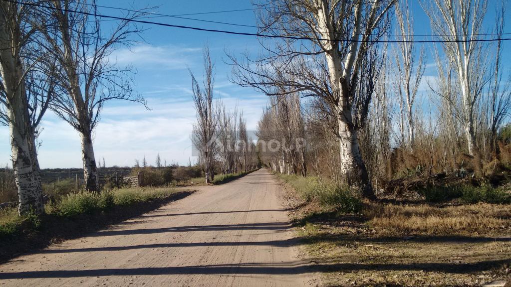 Finca en Venta en La Paz, Mendoza
