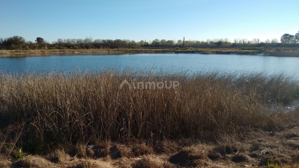 Finca en Venta en La Paz, Mendoza
