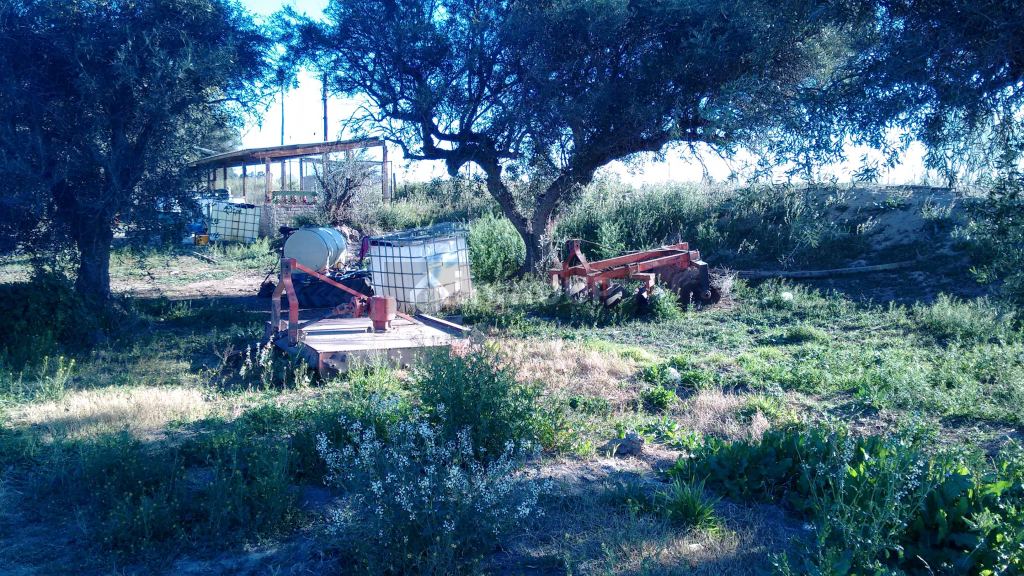 Finca en Venta en La Paz, Mendoza