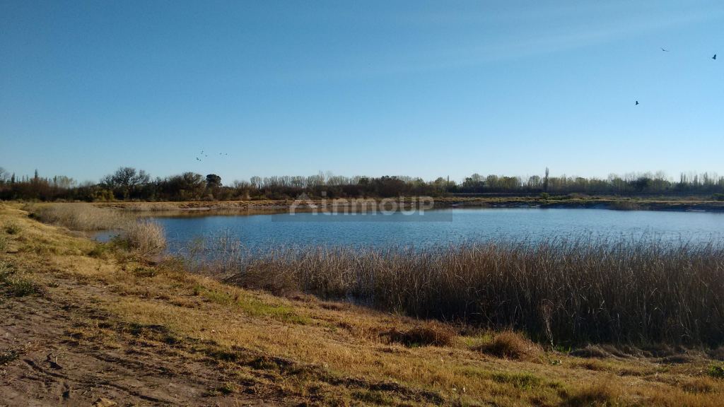 Finca en Venta en La Paz, Mendoza