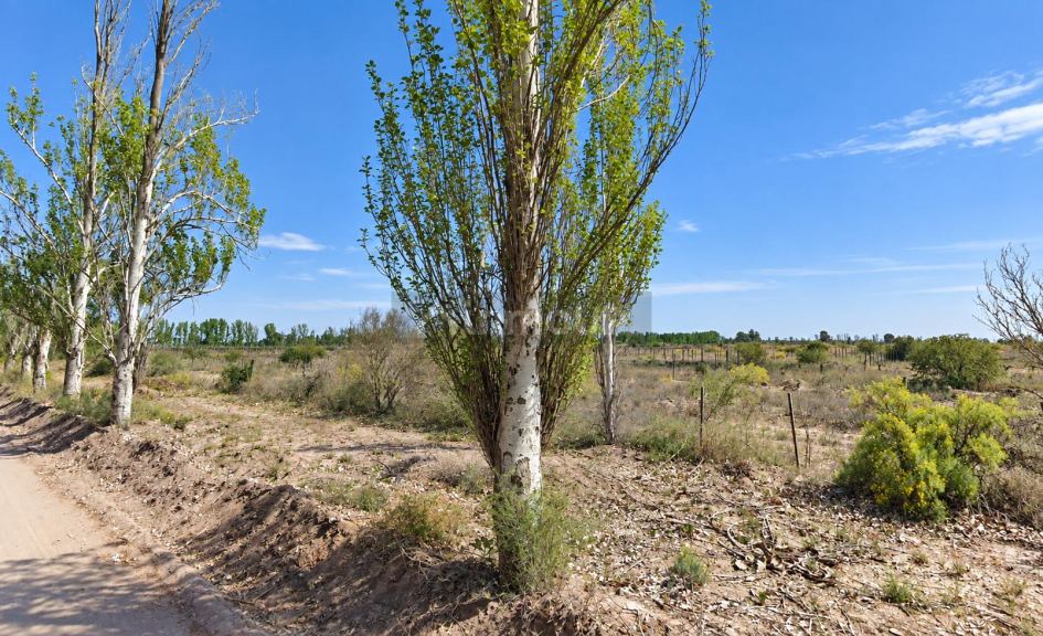 Finca en Venta en La Paz, Mendoza
