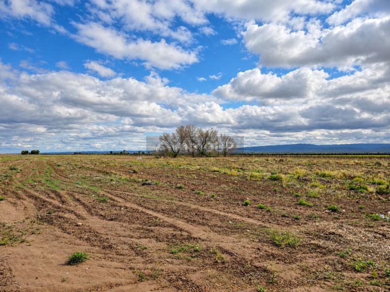 Finca en Venta en Lujan de Cuyo, Mendoza - USD 120.000 | Inmoup - 7