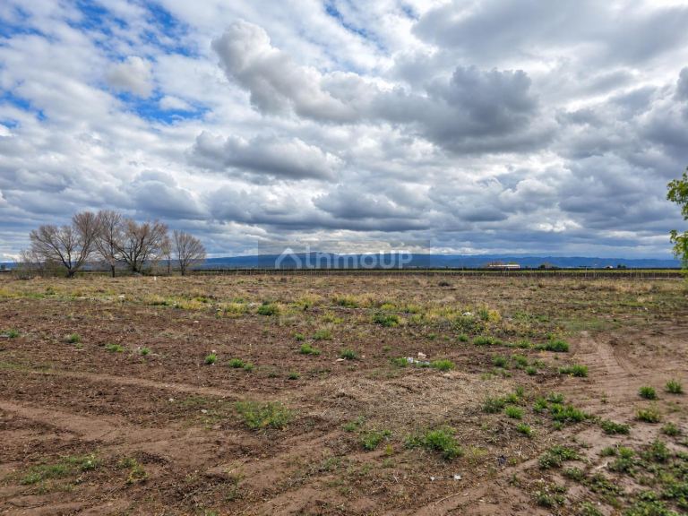 Finca en Venta en Lujan de Cuyo, Mendoza - USD 120.000 | Inmoup - 6
