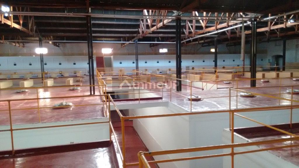 Bodega en Venta en Maipu, Mendoza