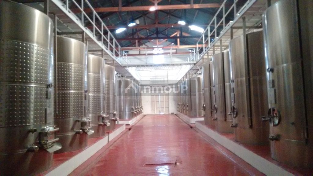Bodega en Venta en Maipu, Mendoza