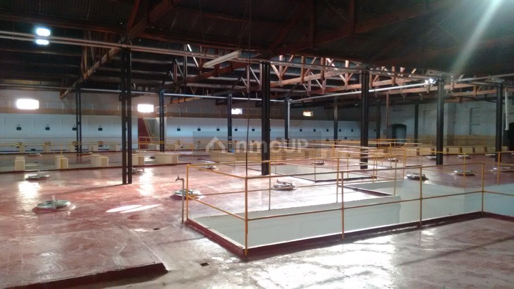 Bodega en Venta en Maipu, Mendoza