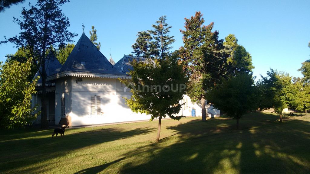 Bodega en Venta en Maipu, Mendoza