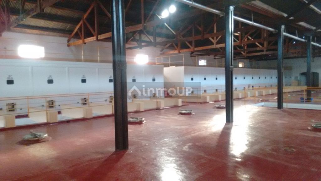Bodega en Venta en Maipu, Mendoza