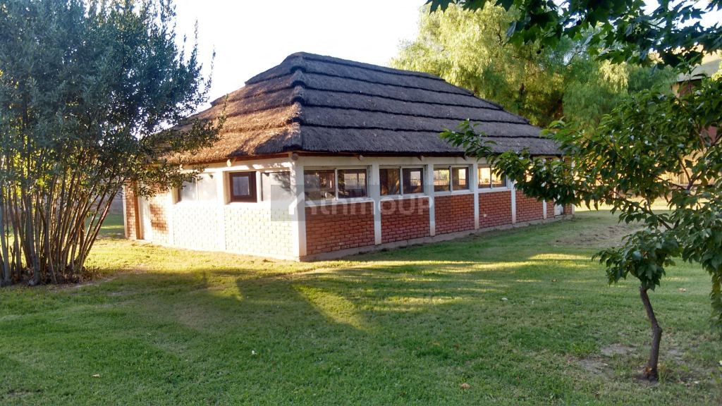 Bodega en Venta en Maipu, Mendoza