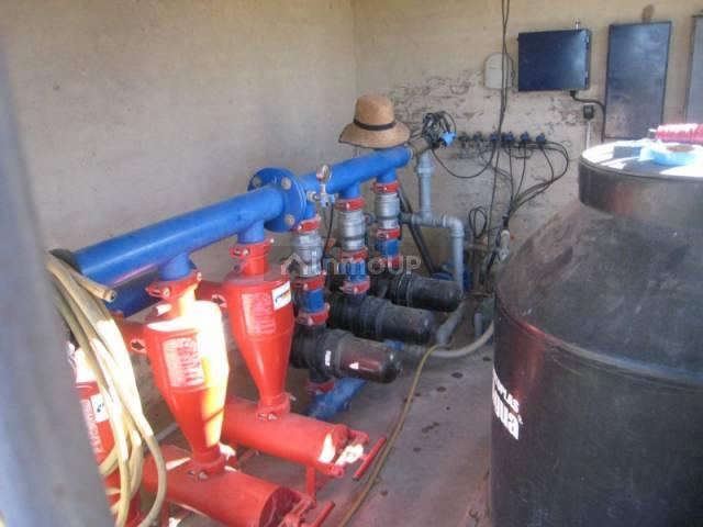 Finca en Venta en San Carlos, Mendoza