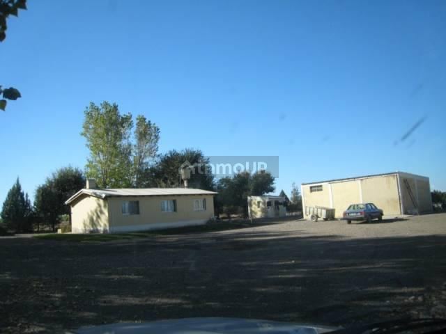 Finca en Venta en San Carlos, Mendoza