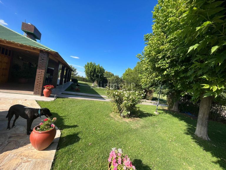 Casa en Venta en San Rafael, Mendoza