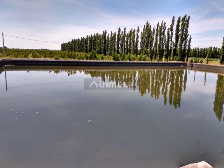 Finca en Venta en General alvear, Mendoza