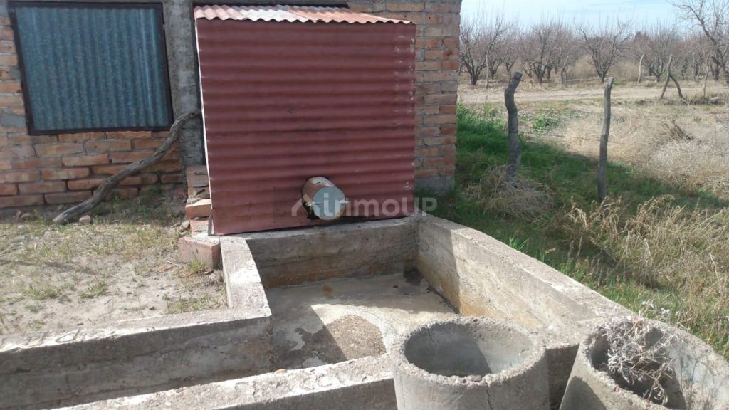 Finca en Venta en General alvear, Mendoza