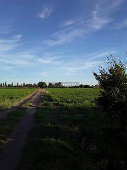 Finca en Venta en General alvear, Mendoza
