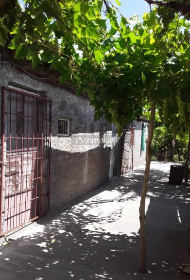 Finca en Venta en General alvear, Mendoza