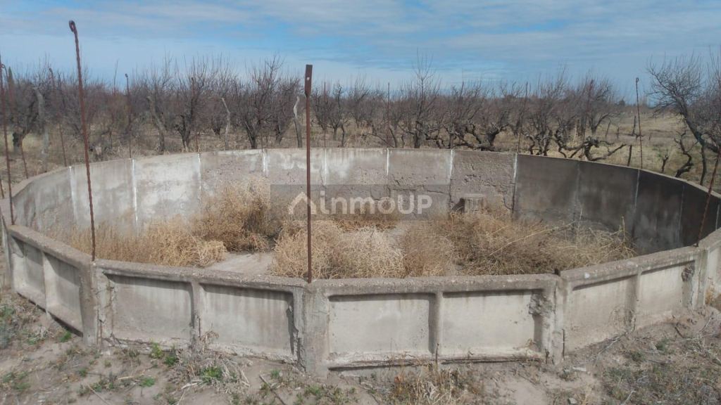 Finca en Venta en General alvear, Mendoza