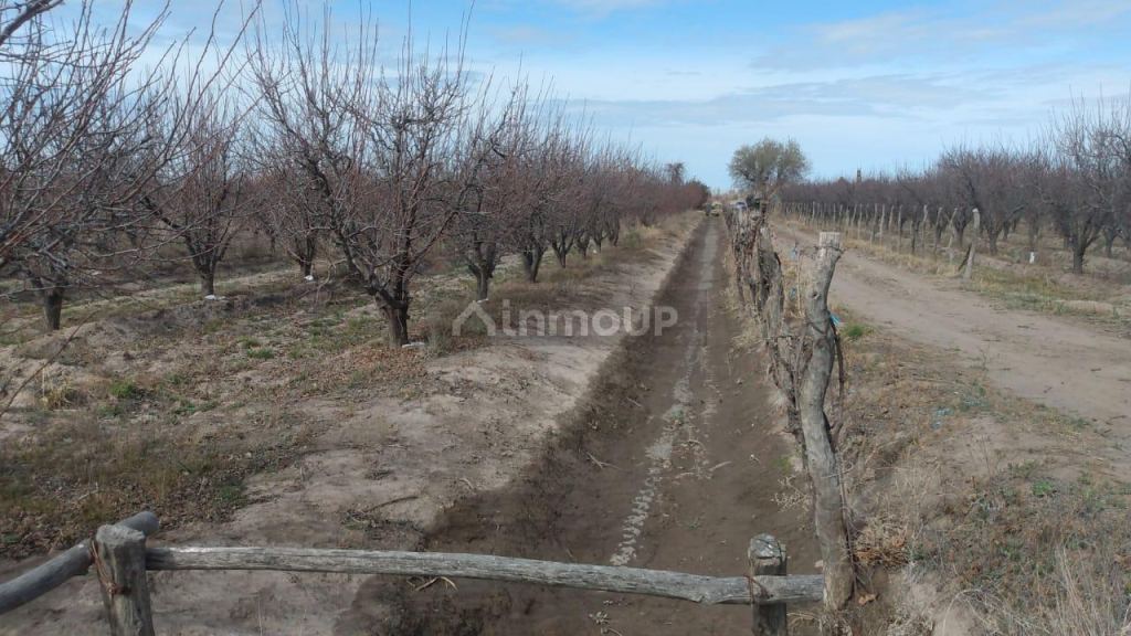 Finca en Venta en General alvear, Mendoza