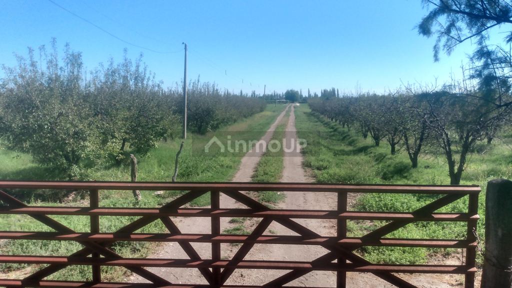 Finca en Venta en General alvear, Mendoza