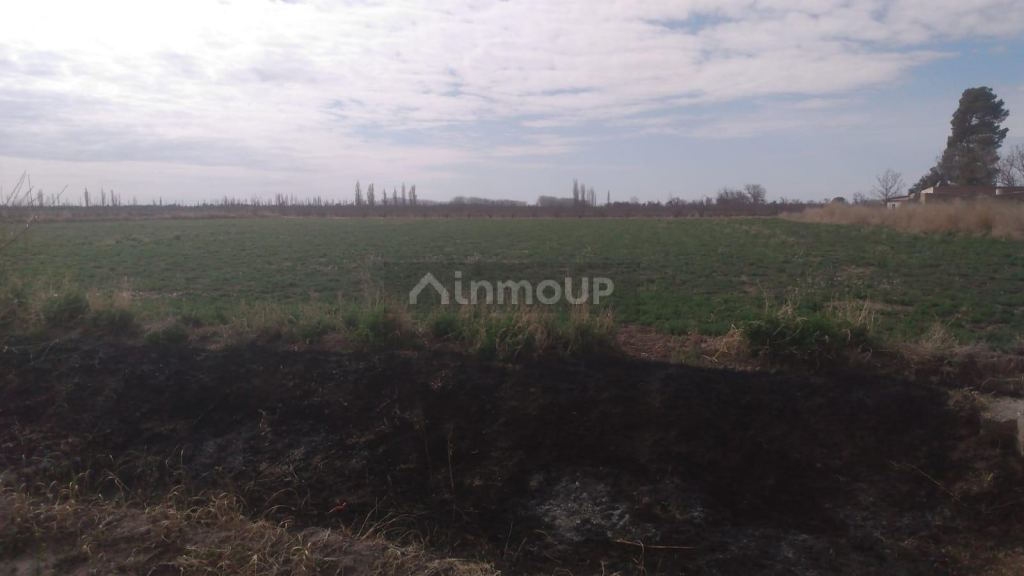 Finca en Venta en General alvear, Mendoza