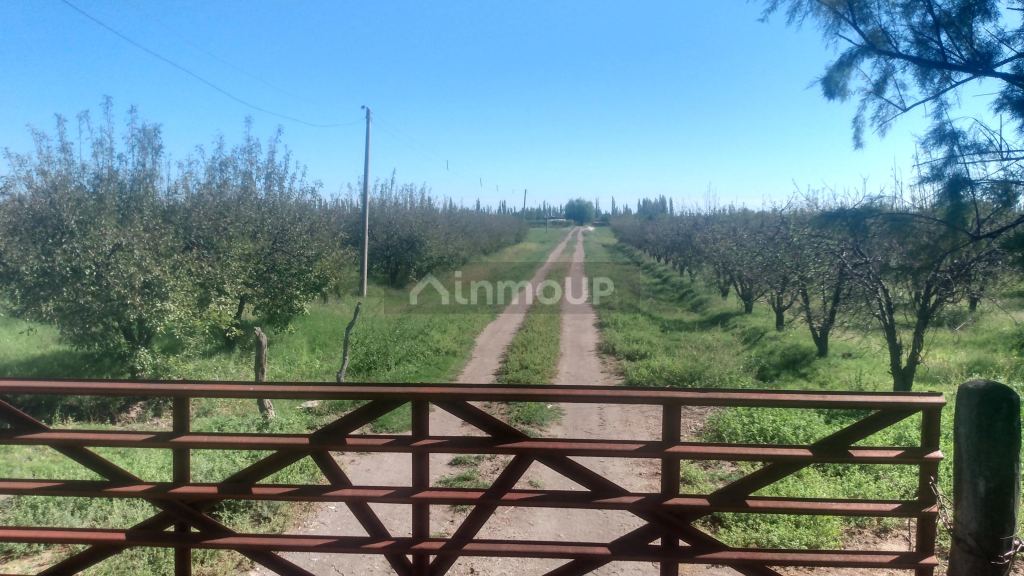 Finca en Venta en General alvear, Mendoza