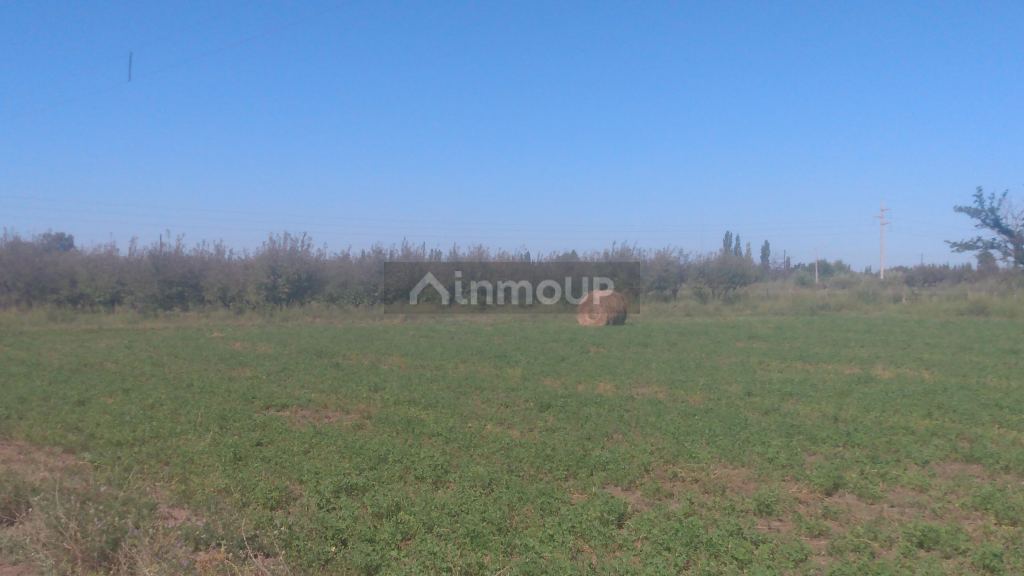 Finca en Venta en General alvear, Mendoza