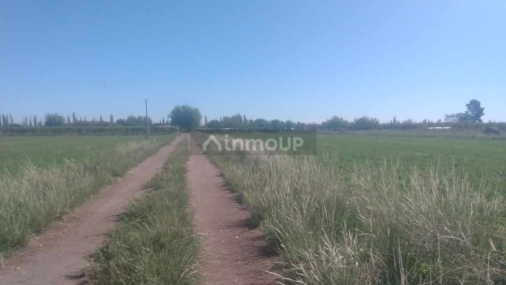 Finca en Venta en General alvear, Mendoza