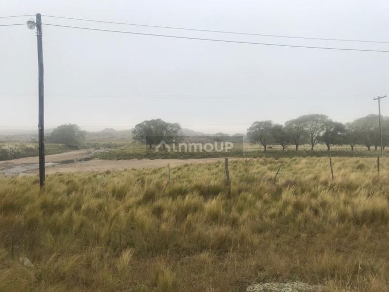 Lote en Venta en Carolina, San Luis