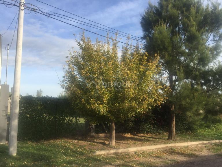 Lote en Venta en Juan Martín de Pueyrredón, San Luis