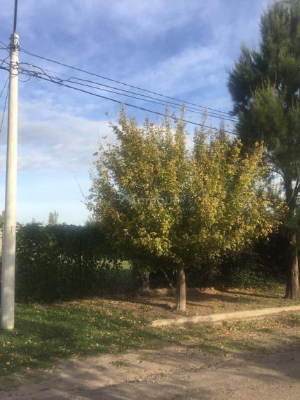 Lote en Venta en Juan Martín de Pueyrredón, San Luis