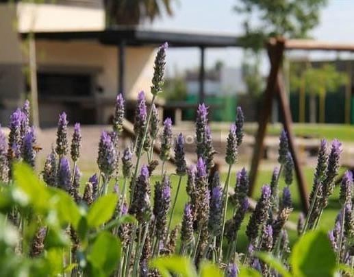 Lote en Venta en Maipu, Mendoza