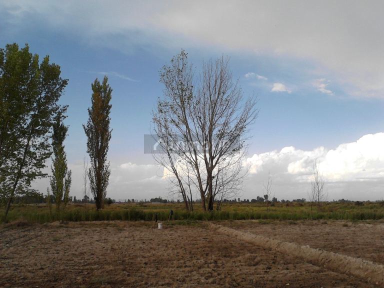 Lote en Venta en Guaymallen, Mendoza