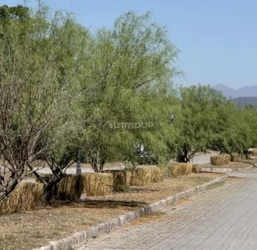 Terreno en Venta en Rosario de Lerma, Salta